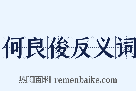 何良俊反义词是什么意思的图片